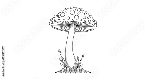 Intricate black and white line drawing of a wild mushroom with a spotted cap growing amidst small leaves and wavy ground lines.