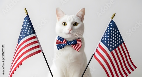 Patriotic feline a white cat celebrates independence day with american flags