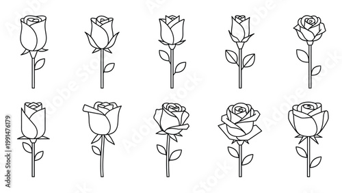 Minimalist rose line icons with stems for feminine branding and stationary design.