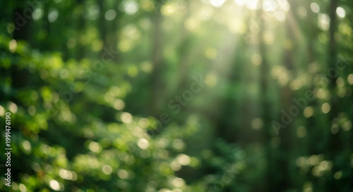 Enchanted Forest: Sun-dappled foliage creates an ethereal scene, the light filtering through the verdant canopy, imbuing a sense of peace and wonder.