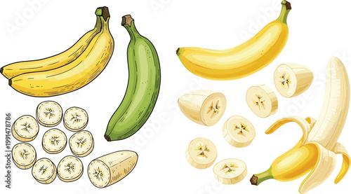 Banana varieties collection with ripe yellow and green plantain, peeled and sliced pieces illustration, tropical fruit set vector for healthy food and nutrition design
