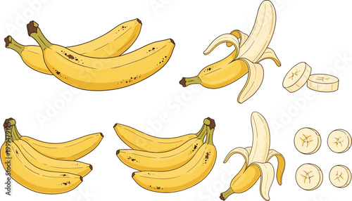 Banana collection with whole, peeled and sliced pieces illustration, fresh tropical fruit set, ripe yellow bananas vector for healthy food, nutrition and snack design