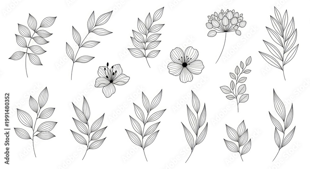 Obraz premium A collection of black and white line drawings depicts various leaves and flowers. The illustrations showcase a range of plant forms, including fern-like leaves and delicate floral arrangements.