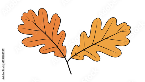Two orange oak leaves are attached to a small stem representing the arrival of autumn and the changing colors of the forest trees.