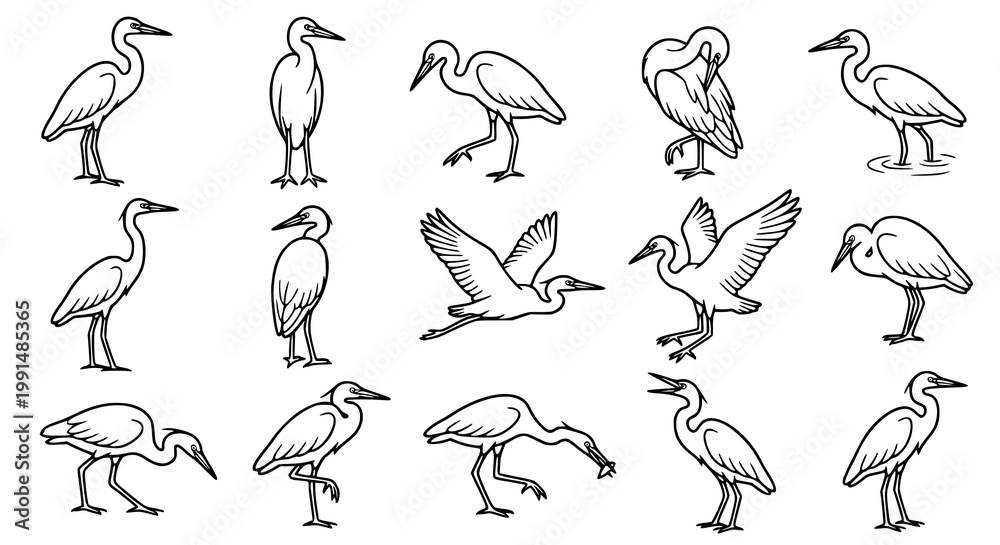 Obraz premium set of Heron illustration materials for general web use.