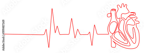 a continuous line drawing that forms a flowing and connecting heartbeat pattern and forms a heart image on the right side. vector image for world blood donor day


