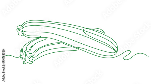 Two zucchini vegetables drawn with a single continuous green line.