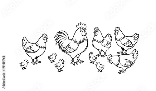 Black and white cartoon chicken family vector set with rooster hens and chicks isolated on white background