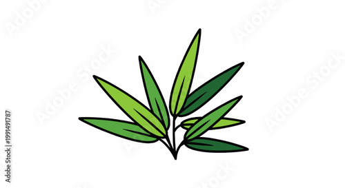 Illustration of fresh green bamboo leaves and sprouts isolated on white background botanical art for Asian zen design elements