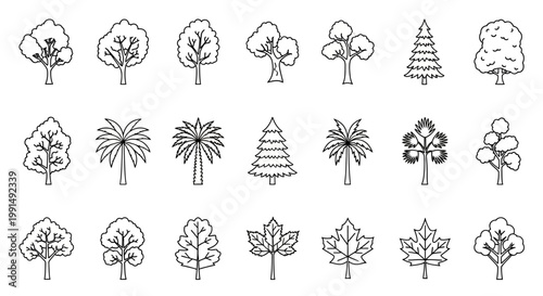 Collection of diverse tree and leaf line art icons, featuring various deciduous, coniferous, and palm tree outlines, along with distinct maple leaf shapes.