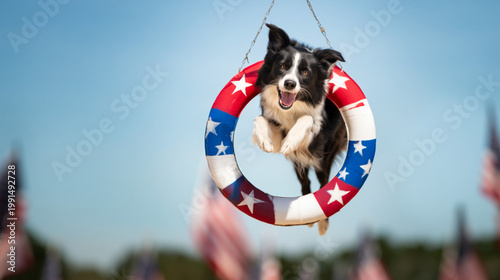 A black and white dog jumping through a patriotic life preserver ring outdoors