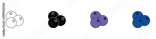 Blueberry fruit icon set. Fresh berry symbols for healthy food and organic nutrition. Vector illustrations of sweet forest fruit for grocery, cooking recipes and juice packaging.