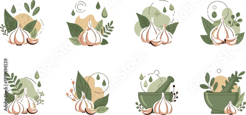 Garlic with herbs and leaves set illustrated in natural organic style featuring fresh ingredients for healthy food and cooking design