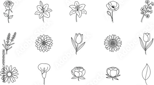 Black and white flower icons, minimalist floral illustrations, 16 line art blooms, simple botanical vector set