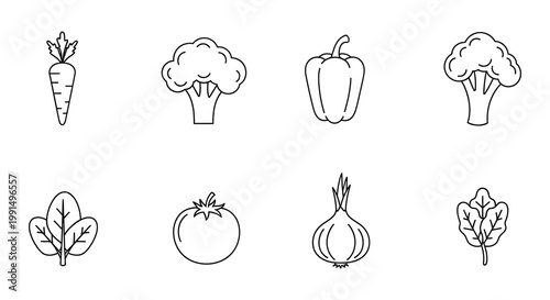 Line art illustration featuring various fresh vegetables in a simple style