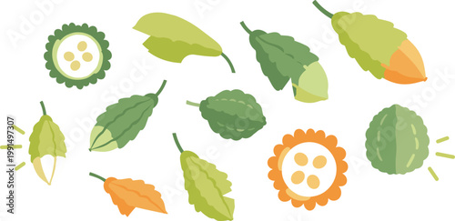 Flat style bitter melon elements set featuring leaves, whole fruits and sliced pieces in soft green tones for healthy food and botanical design