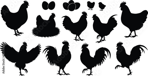 Professional Silhouette Collection of Poultry Including Roosters Hens Chicks and Farm EggsProfessional Silhouette Collection of Poultry Including Roosters Hens Chicks and Farm Eggs