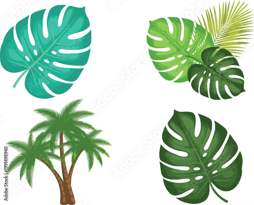 Monstera tropical leaves and palm tree botanical set vector illustration exotic jungle foliage collection isolated green plant elements