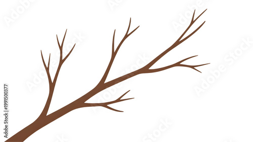 Brown tree branch with no leaves on white background