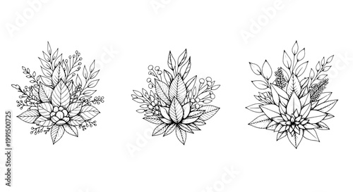 Flowers hand drawn set with intricate line art and botanical details featuring detailed, floral, nature with plants and drawing elements for sketch,