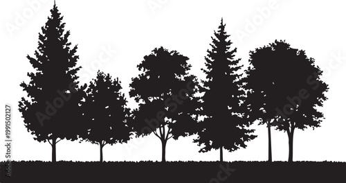 Mixed Tree Silhouette Collection with Pine and Leafless Branch Trees Vector.  Forest Landscape Vector with Mixed Trees