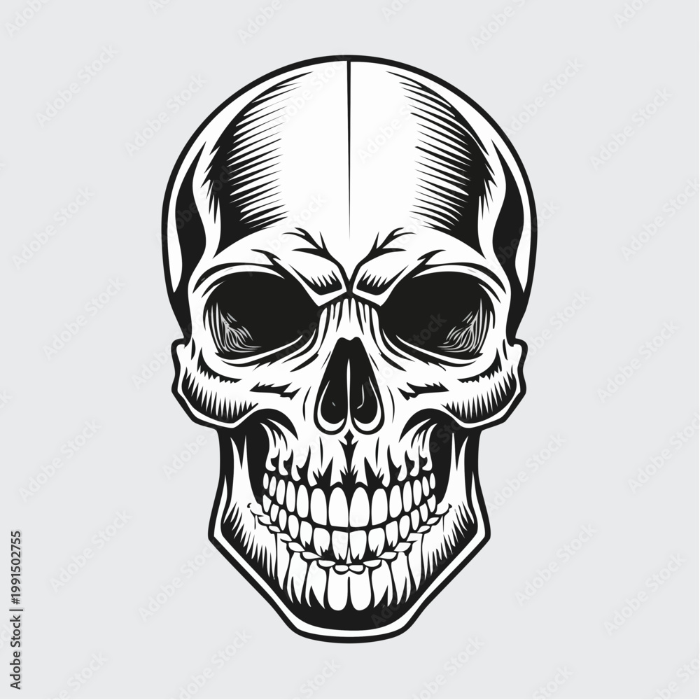 Obraz premium Vintage black and white skull illustration, detailed engraving style, high contrast vector