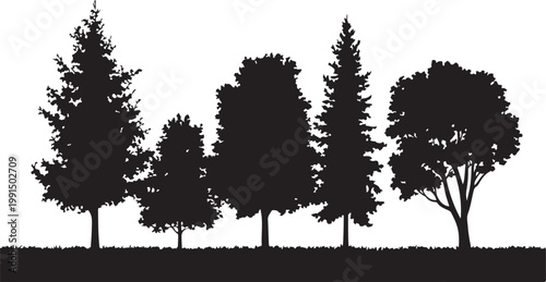 Mixed Tree Silhouette Collection with Pine and Leafless Branch Trees Vector.  Forest Landscape Vector with Mixed Trees