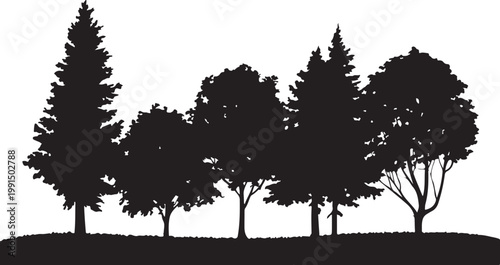 Mixed Tree Silhouette Collection with Pine and Leafless Branch Trees Vector.  Forest Landscape Vector with Mixed Trees