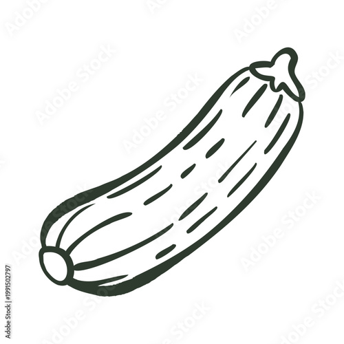 Hand drawn zucchini doodle icon in outline style. Fresh vegetable isolated on white for healthy food and recipe design.