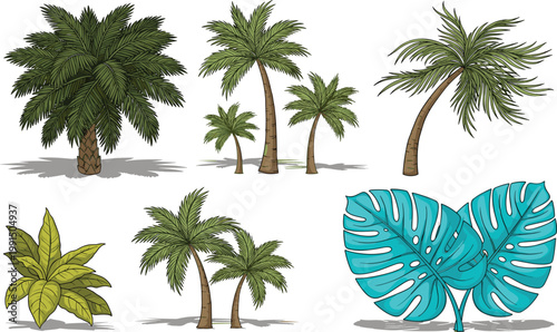 Palm trees and tropical leaves collection with coconut palms, monstera leaf and exotic plants vector illustration jungle nature set