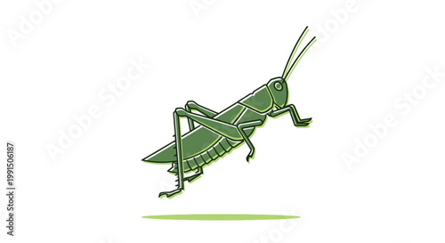 Stylized green grasshopper insect illustration in side profile with simple shadow on white for easy design integration