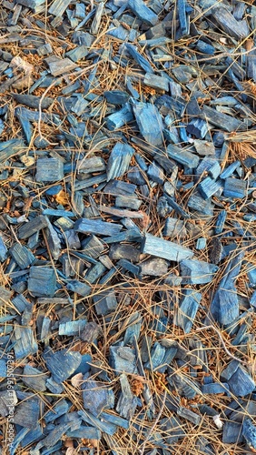 Blue dyed wood chips texture, decorative mulch background for landscaping