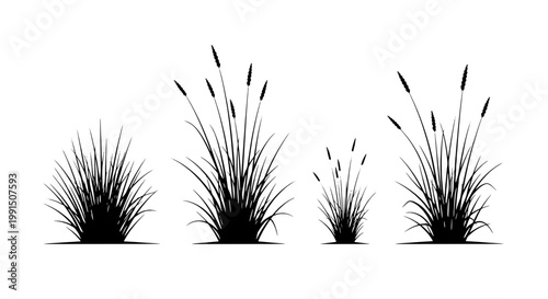 Dandelion grass tuft icon with thin spiky leaves and soft puff seeds on white background for nature design