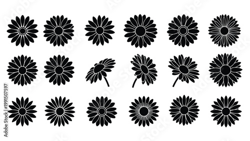 Set of black daisy silhouettes in various angles and styles.