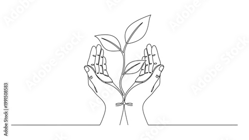 Continuous line drawing of two cupped hands holding a small growing plant. Continuous line style. Hand drawn. Line art. Vector design. illustration
