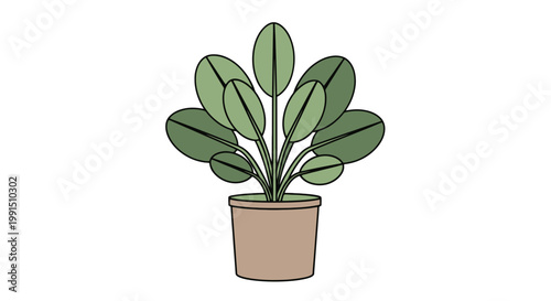 Potted houseplant with round leaves lush greenery and a simple pot in a minimalist vector illustration style on a clean white backdrop