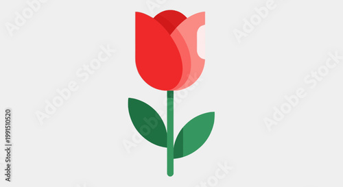 Stylized red tulip illustration on a white background; clean vector graphic of a single flower with layered petals and green leaves