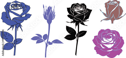 A beautiful set of pink and red rose flowers in a floral bouquet featuring green leaves and buds to celebrate nature, love, and summer romance on Valentine's Day