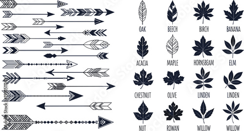 Set of decorative arrow elements and tree leaf silhouettes featuring oak, maple and birch icons in modern monochrome vector design collection