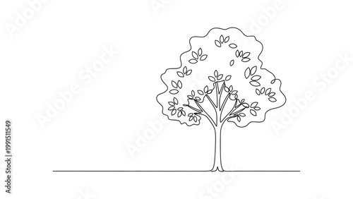 Continuous single line drawing of a tree with leaves. Continuous line style. Hand drawn. Line art. Vector design. illustration