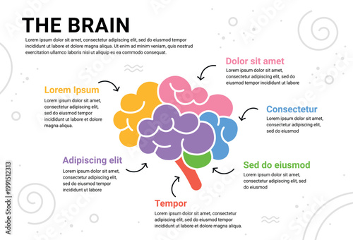 Human Brain colorful infographic design template. Six point list information of part of brain organized text sections. Modern infographics banner with colorful brain on white background