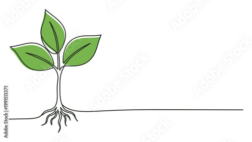 Continuous single line drawing of a small green sprout with roots. Continuous line style. Hand drawn. Line art. Vector design. illustration
