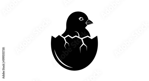 Black Silhouette of Hatching Bird Chick.