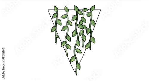 Hand-drawn hanging vines inside triangle illustration; cascading greenery plant growth and organic texture in modern botanical design