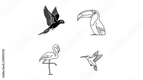 Tropical Bird Collection: A stunning compilation showcasing the beauty of tropical birds including a macaw, toucan, flamingo, and hummingbird, each presented in an elegant line art style. 