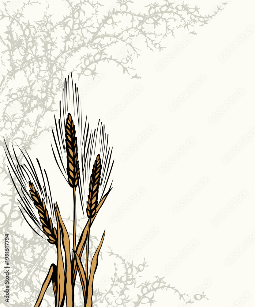 Fototapeta premium A Bible parable. The grain fell into the thorns. Vector drawing