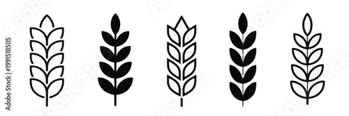 Wheat Stalk Icons Set traced wo5lfoacspatziyxynyvcw