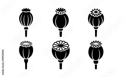 Vector of six black poppy flowers with elegant lines
