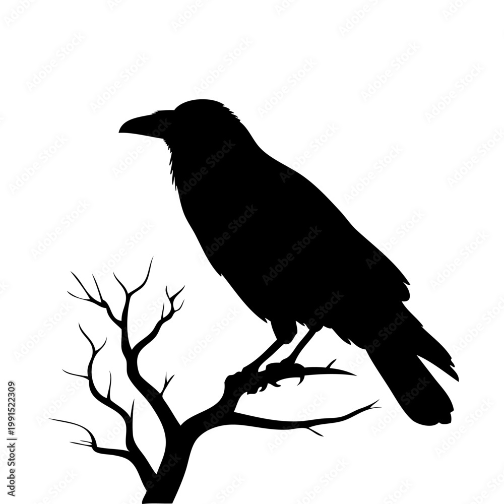 Fototapeta premium black silhouette of a crow perched on bare tree branch