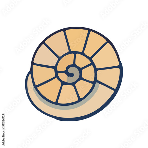 Hand Drawn Ammonite Fossil Icon